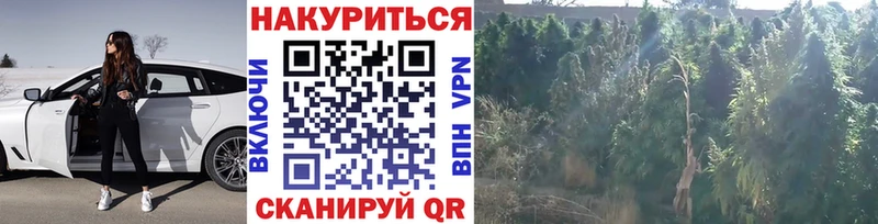 Где найти наркотики Славгород Амфетамин  МЕФ  ГАШ  Кокаин  A PVP 