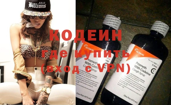 мдпв Инта