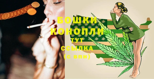 мдпв Инта
