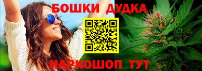 крисы Новокубанск