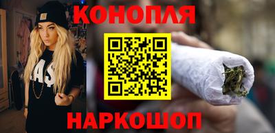 крисы Новокубанск