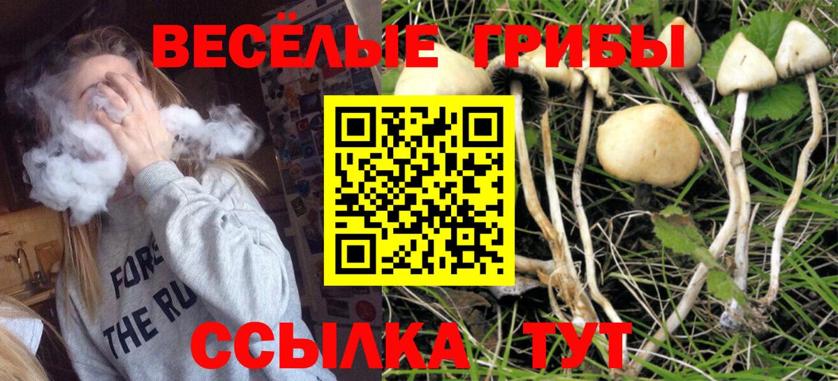 Псилоцибиновые грибы мухоморы Славгород